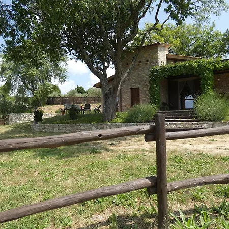 Scappo In Umbria, Le Salce *