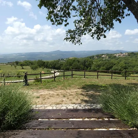Scappo In Umbria, Le Salce