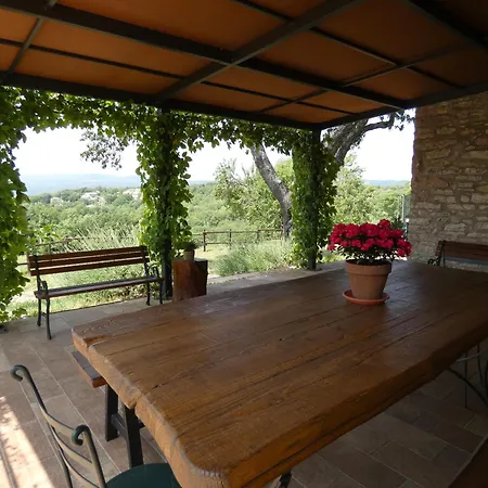 Scappo In Umbria, Le Salce
