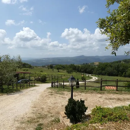 Ferienhaus Scappo In Umbria, Le Salce Civitella Del Lago