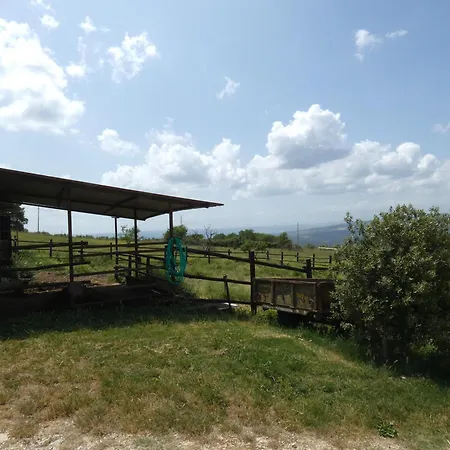 Сasa de vacaciones Scappo In Umbria, Le Salce