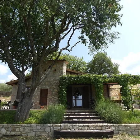 Scappo In Umbria, Le Salce * Civitella Del Lago