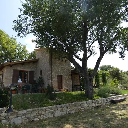 Scappo In Umbria, Le Salce Civitella Del Lago