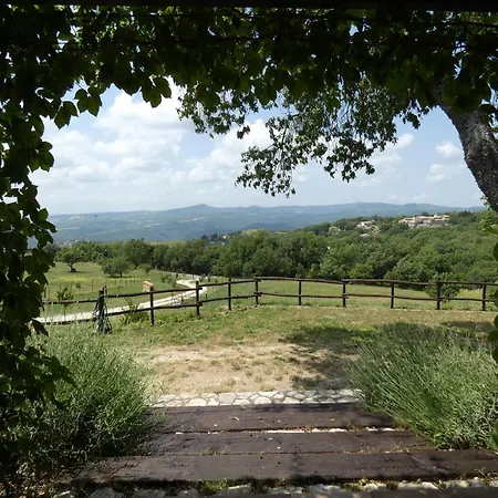 Ferienhaus Scappo In Umbria, Le Salce Civitella Del Lago