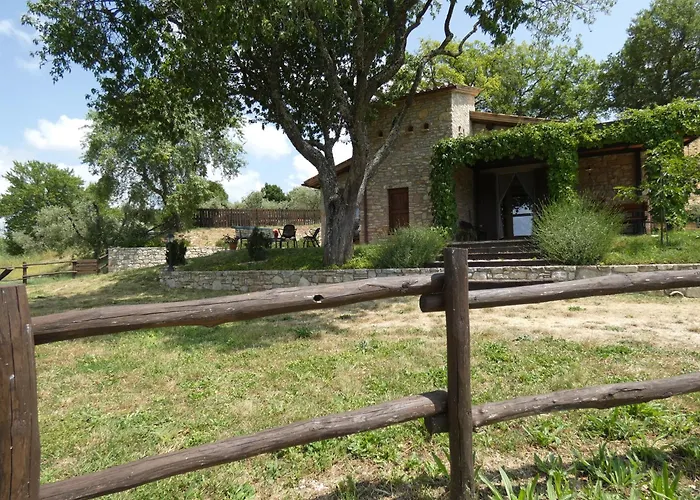 Scappo In Umbria, Le Salce *